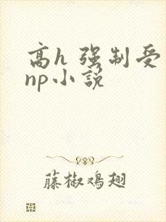 高h 强制受 np小说