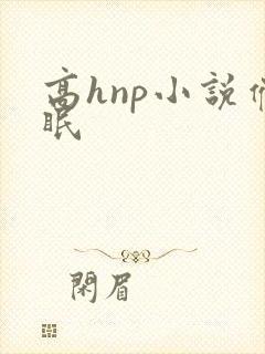 高hnp小说催眠