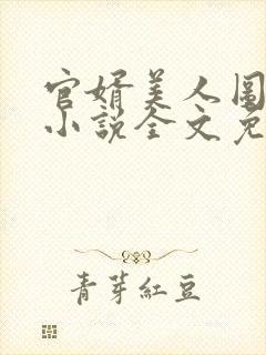 官婿美人图安江小说全文免费阅读