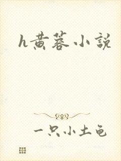 h黄蓉小说