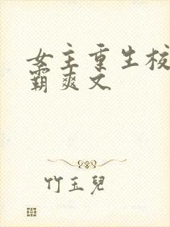 女主重生校园学霸爽文