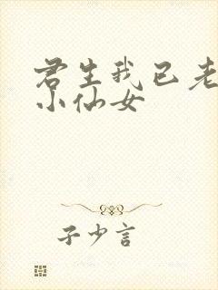 君生我已老有声小仙女