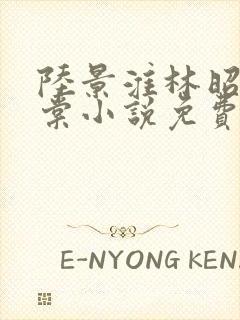 陆景淮林昭沈千棠小说免费阅读最新章节