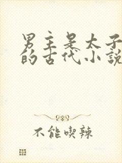 男主是太子姓裴的古代小说