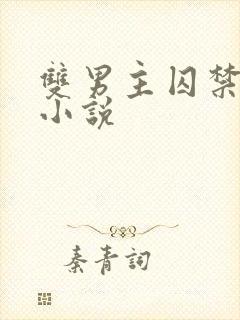 双男主囚禁调教小说