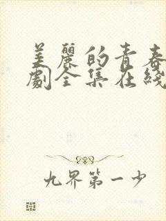 美丽的青春电视剧全集在线观看封面