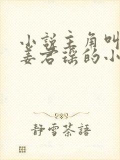 小说主角叫叶楚姜君瑶的小说