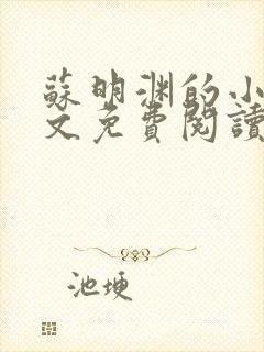 苏明渊的小说全文免费阅读无弹窗