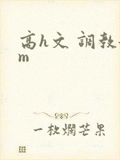 高h文 调教女m