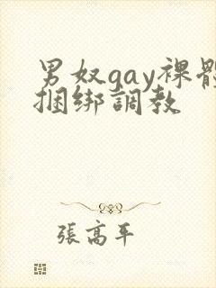 男奴gay裸体捆绑调教