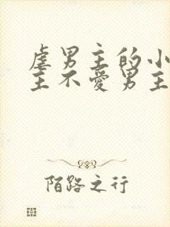 虐男主的小说女主不爱男主封面