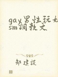 gay男性玩奴sm调教文