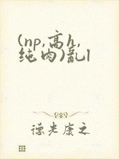 (np,高h,纯肉)乱l