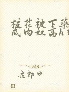 校花被下药调教成肉奴高h视频