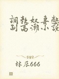 调教奴妻憋尿强制高潮小说