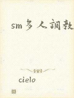 sm多人调教文