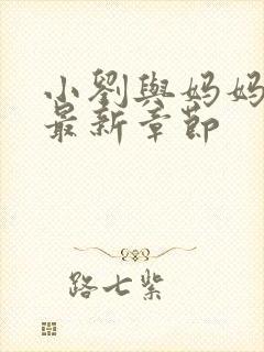 小刘与妈妈小说最新章节