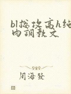 bl总攻高h纯肉调教文