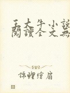 王大牛小说免费阅读全文无弹窗