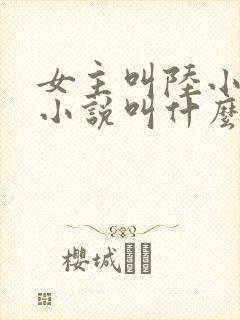 女主叫陆小小的小说叫什么名字