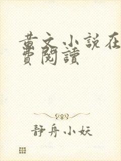 黄文小说在线免费阅读封面