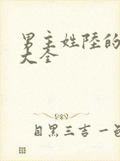 男主姓陆的小说大全封面