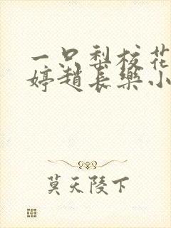 一只梨校花沈婷婷赵长乐小说封面