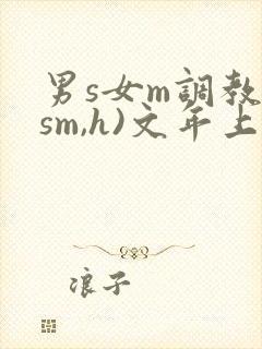 男s女m调教(sm,h)文年上