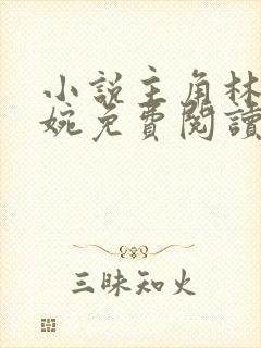 小说主角林北苏婉免费阅读