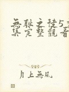 无耻之徒5季全集完整观看