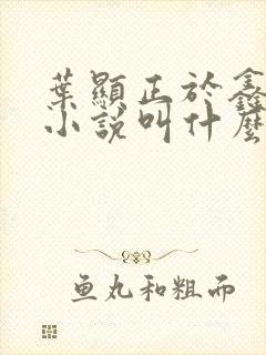 叶显正于鑫原著小说叫什么封面