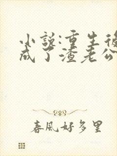 小说:重生后,成了渣老公的白月光