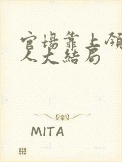 官场靠上领导夫人大结局