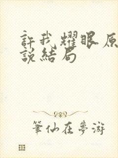 许我耀眼原著小说结局封面