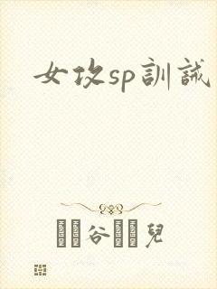 女攻sp训诫文