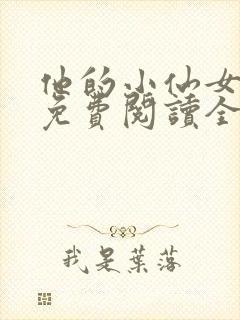 他的小仙女小说免费阅读全文