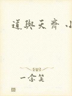 道与天齐 小说