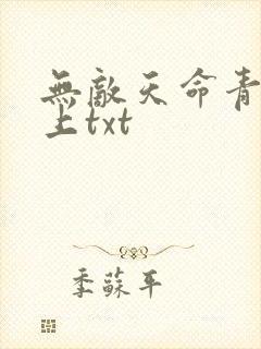 无敌天命青鸾峰上txt
