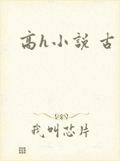 高h小说 古言
