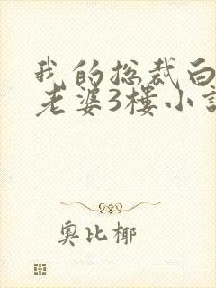 我的总裁白富美老婆3楼小说目录