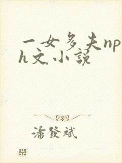 一女多夫np文h文小说