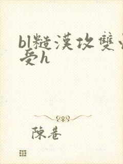bl糙汉攻双性受h