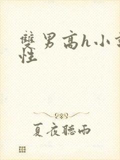 双男高h小说双性