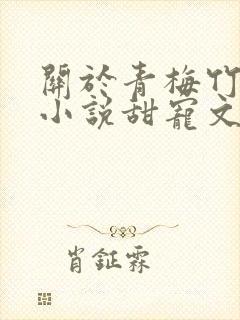 关于青梅竹马的小说甜宠文封面