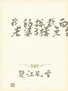 我的总裁白富美老婆3楼免费版