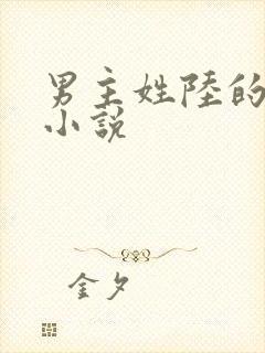 男主姓陆的言情小说