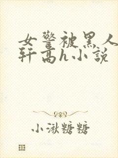 女警被黑人强伦轩高h小说