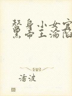 替身小女官,腹黑帝王沦陷了全文封面