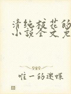 清纯校花的轶事小说全文免费阅读