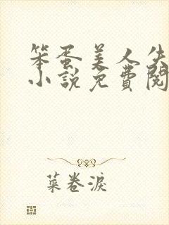 笨蛋美人失忆后小说免费阅读